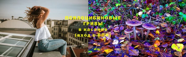 крисы Алексеевка