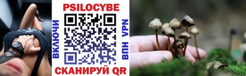 Псилоцибиновые грибы Cubensis  Лагань 